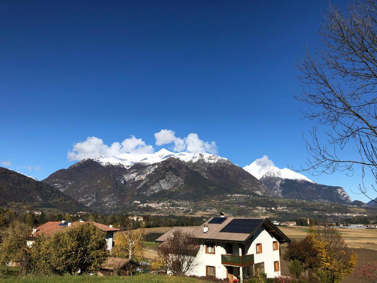 Trentino Ii *